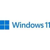 MS Windows 11 Pro 64 Bit